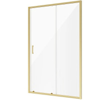 Душевая дверь 120 см Niagara NG-42-12AG прозрачное