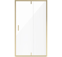 Душевая дверь 120 см Niagara NG-43-12AG прозрачное