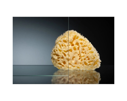 Приобрести Душевой уголок 145х90 см Vegas Glass ZP+ZPV 145x90 08 01 прозрачное в магазине сантехники Santeh-Crystal.ru