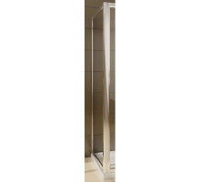 Боковая стенка Radaway Premium Plus S 90 фабрик