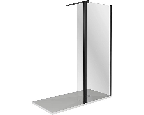 Заказать Неподвижная перегородка 100 см Good Door Walk In SP2-100-C-B прозрачное в магазине сантехники Santeh-Crystal.ru