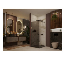 Неподвижная перегородка 100х200 см Ambassador Walk-in 15032222 тонированное