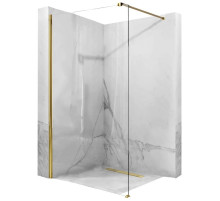 Неподвижная перегородка 120х195 см Rea Aero REA-K8443 прозрачное