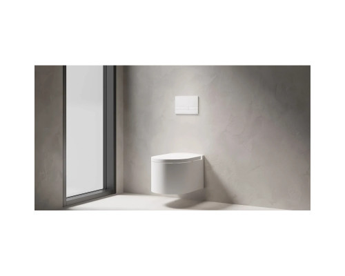 Кнопка смыва Salini S-Stone Puro 30P2MST2S2M0000 для инсталляции, белый матовый