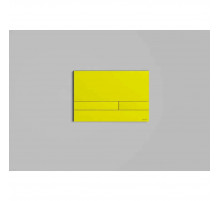 Кнопка смыва Salini S-Stone Puro 30P2MST2S2M0000F для инсталляции, покраска по RAL матовый полностью