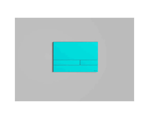 Кнопка смыва Salini S-Stone Puro 30P2MST2S2M0000F для инсталляции, покраска по RAL матовый полностью