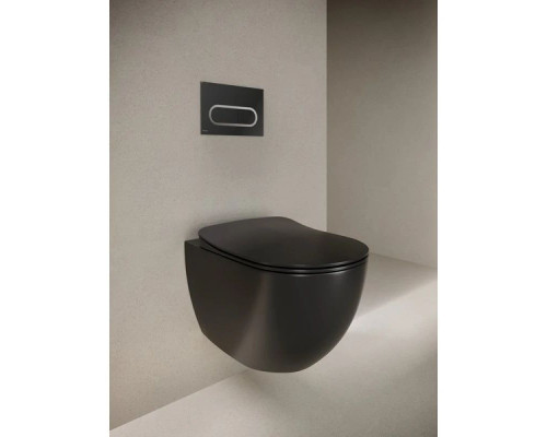 Приобрести Смывная клавиша черный матовый Ravak Chrome X01797 в магазине сантехники Santeh-Crystal.ru