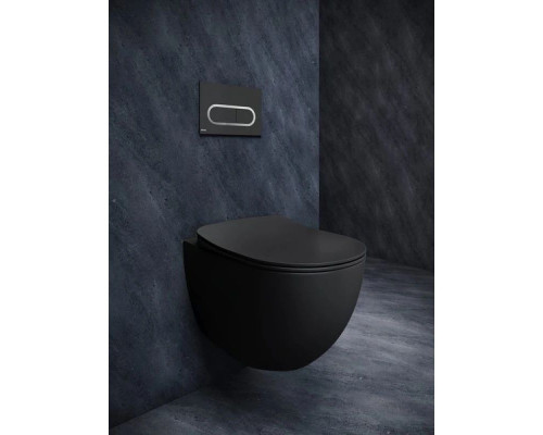 Приобрести Смывная клавиша черный матовый Ravak Chrome X01797 в магазине сантехники Santeh-Crystal.ru