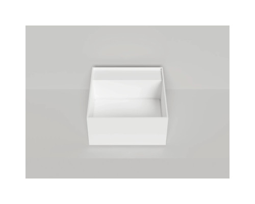 Раковина-чаша Salini S-Sense Armonia Square Top 02 130512TG 45x45 см, накладная, белый глянец