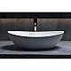 Купить Раковина 56x34 см Salini S-Stone Noemi 1101203SM в магазине сантехники Santeh-Crystal.ru