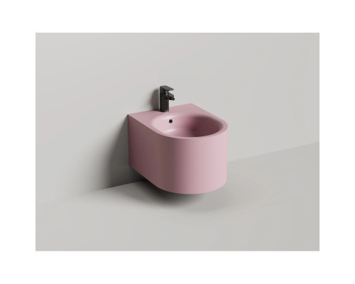 Биде подвесное Salini S-Stone Gemelli 250121MF, покраска по RAL матовый полностью