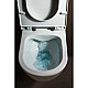 Заказать Комплект подвесной унитаз Laufen Pro 8.2096.6.000.000.1 + 8.9896.6.000.000.1 + система инсталляции Villeroy & Boch 92246100 + 92249061 в магазине сантехники Santeh-Crystal.ru