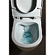 Купить Комплект подвесной унитаз Laufen Pro 8.2096.6.000.000.1 + 8.9896.6.000.000.1 + система инсталляции Jacob Delafon E24156-NF + E20859-7-BMT в магазине сантехники Santeh-Crystal.ru