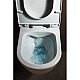 Приобрести Комплект подвесной унитаз Laufen Pro 8.2096.6.000.000.1 + 8.9896.6.000.000.1 + система инсталляции Geberit 111.362.00.5 + 115.770.DW.5 в магазине сантехники Santeh-Crystal.ru