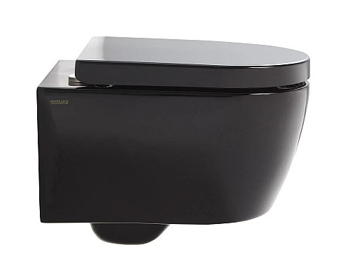 Santeh-Crystal.ru: Комплект подвесной унитаз SSWW CT2037black + система инсталляции Tece 9400413 Заказать Комплект подвесной унитаз SSWW CT2037black + система инсталляции Tece 9400413 в магазине сантехники Santeh-Crystal.ru