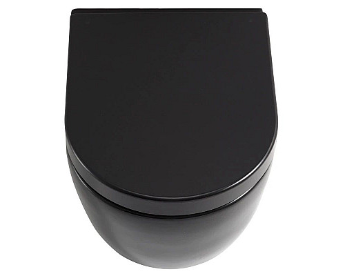 Santeh-Crystal.ru: Комплект подвесной унитаз SSWW CT2037black + система инсталляции Tece 9400413 Заказать Комплект подвесной унитаз SSWW CT2037black + система инсталляции Tece 9400413 в магазине сантехники Santeh-Crystal.ru