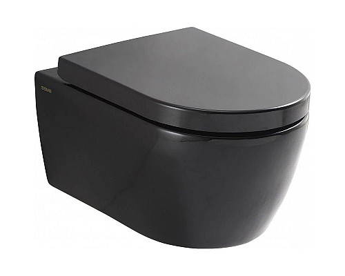Santeh-Crystal.ru: Комплект подвесной унитаз SSWW CT2037black + система инсталляции Tece 9400413 Заказать Комплект подвесной унитаз SSWW CT2037black + система инсталляции Tece 9400413 в магазине сантехники Santeh-Crystal.ru