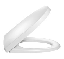 Крышка-сиденье с микролифтом Jacob Delafon Odeon Up 8409K-00