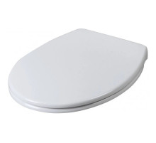 Сиденье для унитаза с микролифтом Am.Pm Bliss L C537851WH