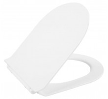 Сиденье для унитаза с микролифтом BelBagno Flay-R BB2111SC