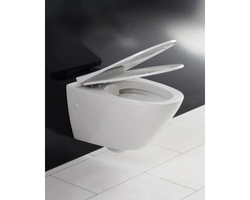 Купить Сиденье для унитаза с микролифтом BelBagno Alpha BB2177SC в магазине сантехники Santeh-Crystal.ru