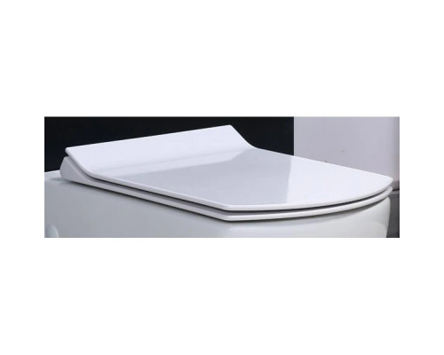 Купить Сиденье для унитаза с микролифтом BelBagno Carina BB1077SC в магазине сантехники Santeh-Crystal.ru