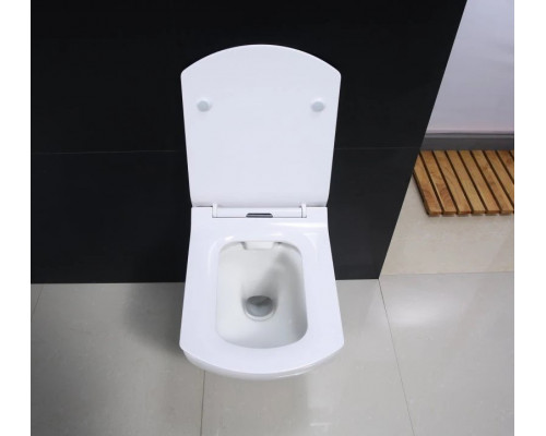 Купить Сиденье для унитаза с микролифтом BelBagno Carina BB1077SC в магазине сантехники Santeh-Crystal.ru