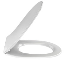 Сиденье для унитаза с микролифтом Jacob Delafon Odeon Rive Gauche E24889-00