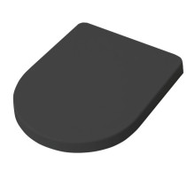 Сиденье для унитаза с микролифтом Artceram File 2.0 FLA002 03 nero