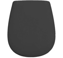 Сиденье для унитаза с микролифтом Artceram Atelier AZA001 17 71