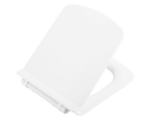 Купить Сиденье для унитаза с микролифтом BelBagno Carina BB1077SC в магазине сантехники Santeh-Crystal.ru