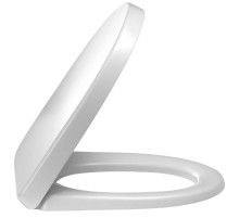 Крышка-сиденье Jacob Delafon Odeon Up E70009-00