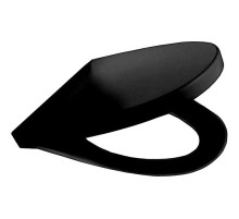 Сиденье для унитаза Roca Victoria Nord ZRU9000102