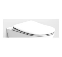 Сиденье для унитаза с микролифтом Boheme Avva 976-W