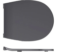 Сиденье для унитаза с микролифтом Allen Brau Reality 4.32007.AN