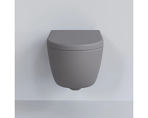 Заказать Сиденье для унитаза с микролифтом Ambassador Abner 102T20301 в магазине сантехники Santeh-Crystal.ru