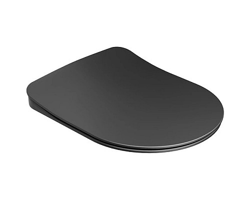 Приобрести Сиденье для унитаза с микролифтом Ravak Uni Chrome Flat X01795 в магазине сантехники Santeh-Crystal.ru