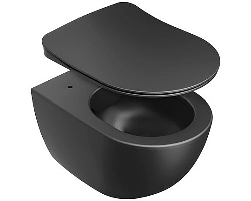 Приобрести Сиденье для унитаза с микролифтом Ravak Uni Chrome Flat X01795 в магазине сантехники Santeh-Crystal.ru