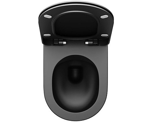 Приобрести Сиденье для унитаза с микролифтом Ravak Uni Chrome Flat X01795 в магазине сантехники Santeh-Crystal.ru