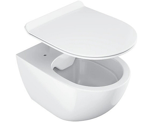 Заказать Сиденье для унитаза с микролифтом Ravak Vita Slim X01861 в магазине сантехники Santeh-Crystal.ru