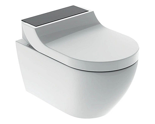 Заказать Подвесной безободковый унитаз с функцией биде Geberit AquaClean Tuma Comfort 146.294.SJ.1 в магазине сантехники Santeh-Crystal.ru