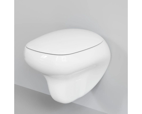 Купить Подвесной безободковый унитаз Ambassador Diamond 123T20001R в магазине сантехники Santeh-Crystal.ru