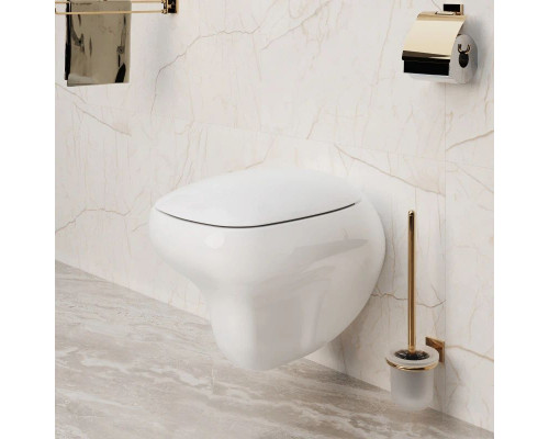 Купить Подвесной безободковый унитаз Ambassador Diamond 123T20001R в магазине сантехники Santeh-Crystal.ru