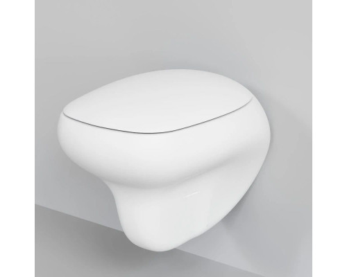 Заказать Подвесной безободковый унитаз Ambassador Diamond 123T20101R в магазине сантехники Santeh-Crystal.ru