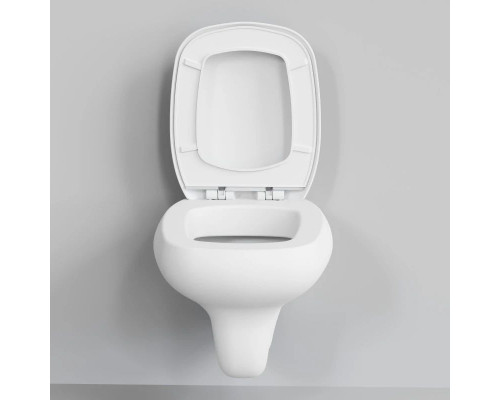 Заказать Подвесной безободковый унитаз Ambassador Diamond 123T20101R в магазине сантехники Santeh-Crystal.ru