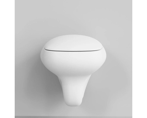 Заказать Подвесной безободковый унитаз Ambassador Diamond 123T20101R в магазине сантехники Santeh-Crystal.ru