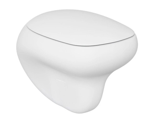 Заказать Подвесной безободковый унитаз Ambassador Diamond 123T20101R в магазине сантехники Santeh-Crystal.ru