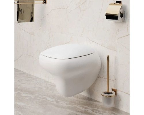 Заказать Подвесной безободковый унитаз Ambassador Diamond 123T20101R в магазине сантехники Santeh-Crystal.ru