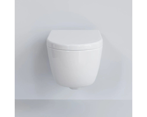 Купить Подвесной безободковый унитаз Ambassador Abner 103T20001R в магазине сантехники Santeh-Crystal.ru