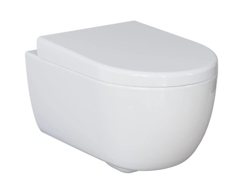 Купить Подвесной безободковый унитаз Ambassador Abner 103T20001R в магазине сантехники Santeh-Crystal.ru